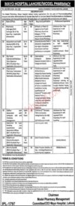 New Mayo Hospital Jobs in Lahore March 2024